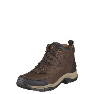 Ariat English: Terrain Zapatillas Outdoor Hombre - Marrones (TNQIA8726)